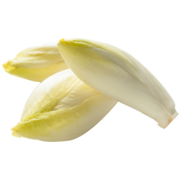 Endive 500 g