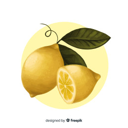 Citron de Sicile 1 kg