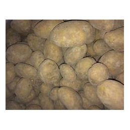 Pomme de terre agria bio...
