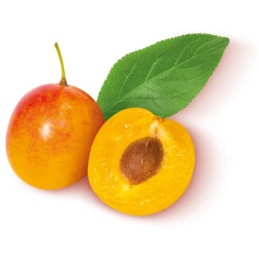 Sorbet à la mirabelle
