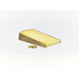 Comté bio fruité