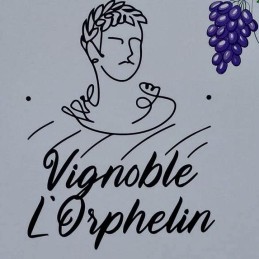 Muller thurgau 2022