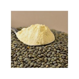 Farine de lentille bio