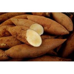 Poire de terre bio, les 500gr
