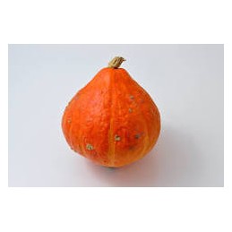 Courge potimarron orange