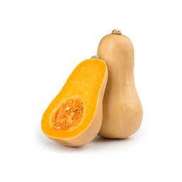 Courge butternutt bio la piece
