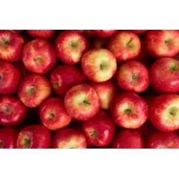 Pomme de France