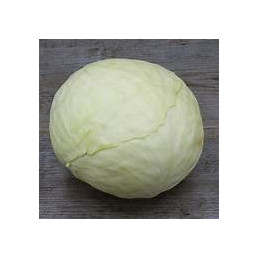 chou blanc bio, la pièce