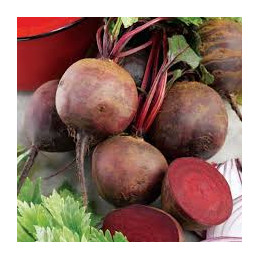 betterave rouge bio de...