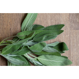 Sauge bio, pièce de 25 g