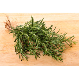 Romarin bio, pièce de 20 g