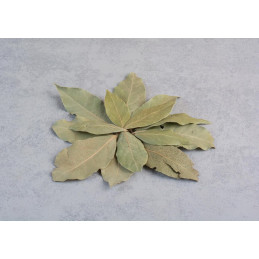 Laurier pièce de 20 g