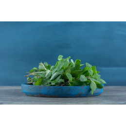 Menthe poivrée bio pièce de...