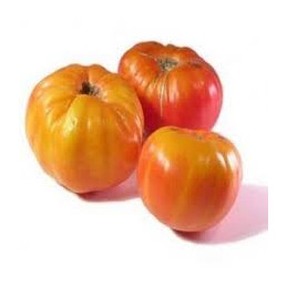 tomate ananas bio, les 500gr