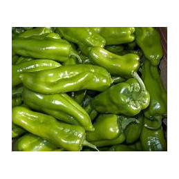 poivron long vert bio, les...