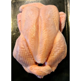 Poulet (+/- 2kg)
