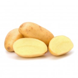 Pomme de terre agria bio...