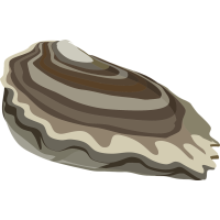 huitres