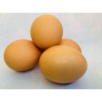 oeuf